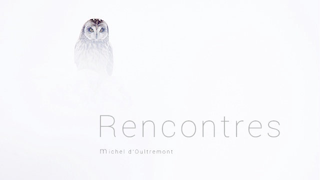 Cover image of the project Rencontres