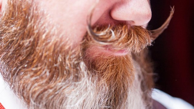 Image de couverture de la collecte Championnat International Normand de Barbe 2019