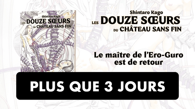 Cover image of the project Les 12 Soeurs du Chateau sans Fin