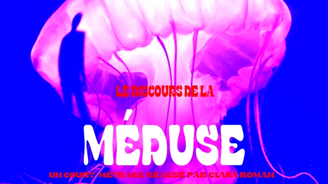 Cover image of the project Le discours de la méduse