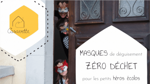 Image de couverture de la collecte les AVETTES MASQUEES par CASAVETTE