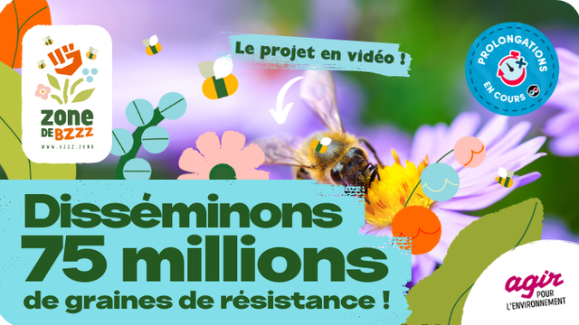 Video presentation of the project