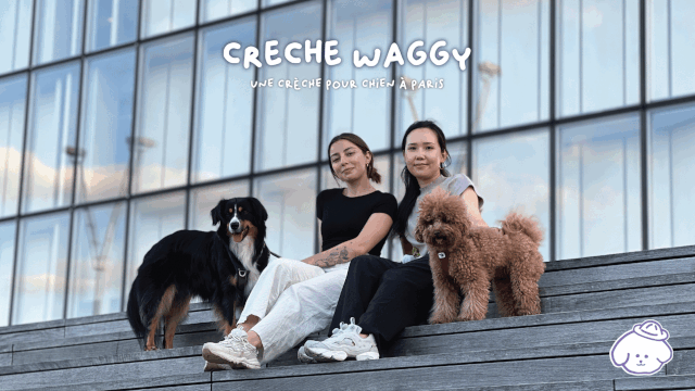 Cover image of the project Crèche canine à Paris