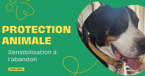 Mon chien mon meilleur ami