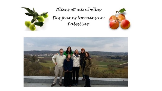 Cover image of the project Olives et Mirabelles