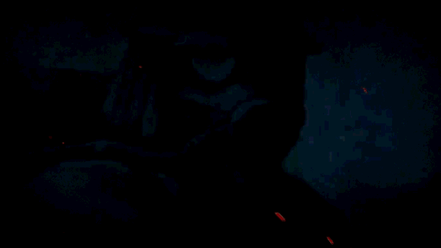 Video presentation of the project