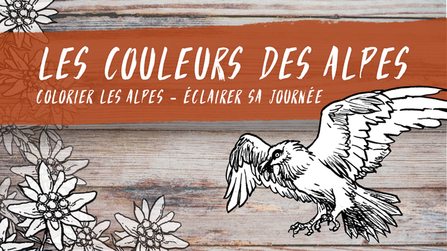 Cover image of the project Les Couleurs des Alpes