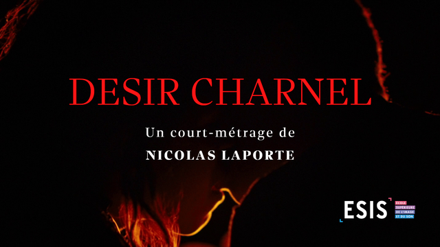 Cover image of the project DÉSIR CHARNEL