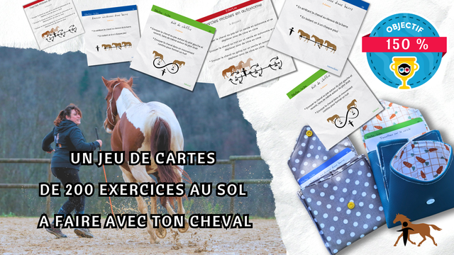 Vidéo de présentation de la collecte