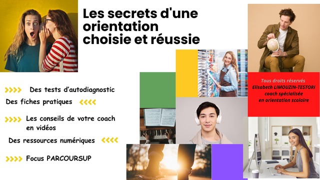 Cover image of the project Une orientation choisie et réussie