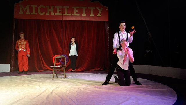 Image de couverture de la collecte Cirque sous chapiteau en photos