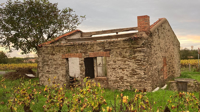 Cover image of the project Sauver une Cabane de vignes