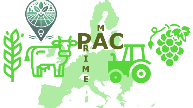 Video presentation of the project