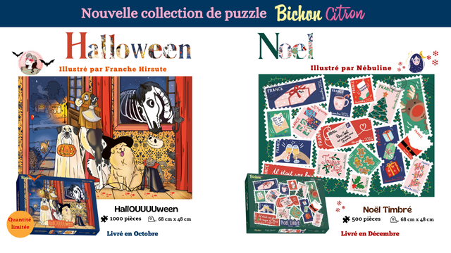Cover image of the project Bichon Citron l'aventure continue