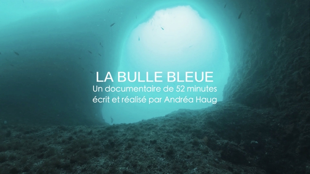 Video presentation of the project