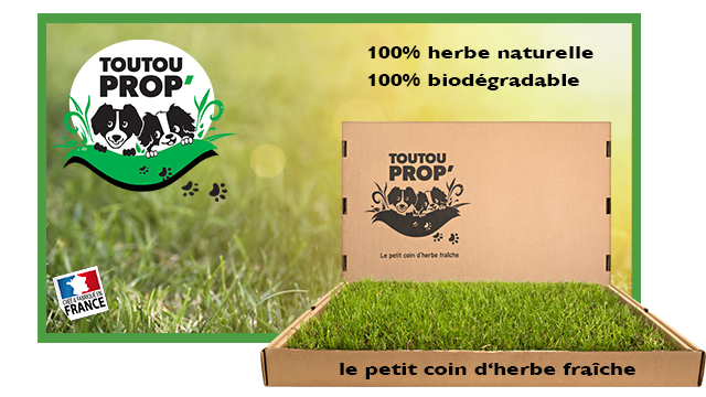 Image de couverture de la collecte TOUTOU PROP'