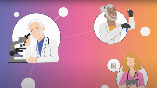 Video presentation of the project
