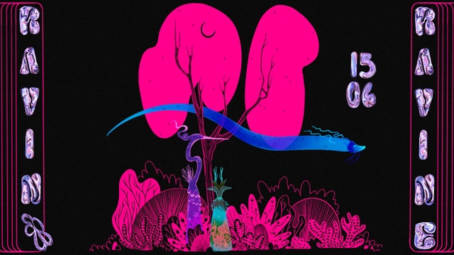 Cover image of the project Ravin'Ravine - 8ème édition - Complet plus d'achat possible