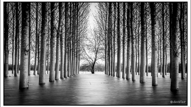 Cover image of the project Photographe professionnel en Loire Atlantique