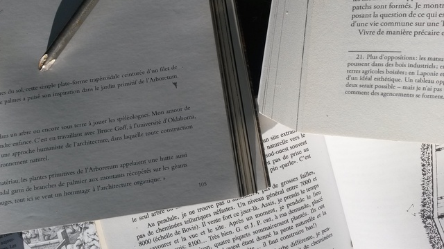 Image de couverture de la collecte Centre de recherche et d'étude de la forêt