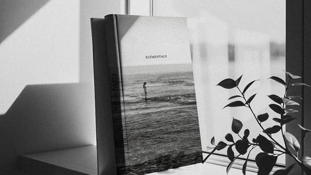 Cover image of the project ÉLÉMENTALS Livre photos poésie