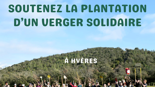 Video de presentación de tu proyecto