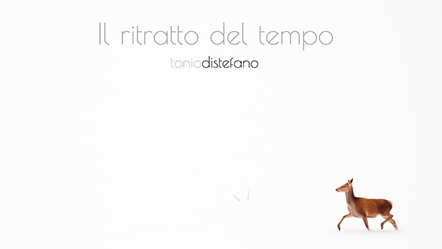 Cover image of the project Il Ritratto Del Tempo