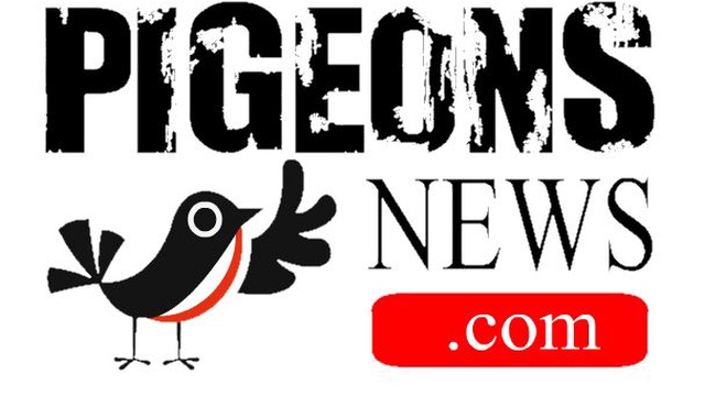 Image de couverture de la collecte Pigeons News, site satirique d'actualités