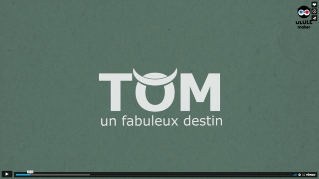 Video presentation of the project
