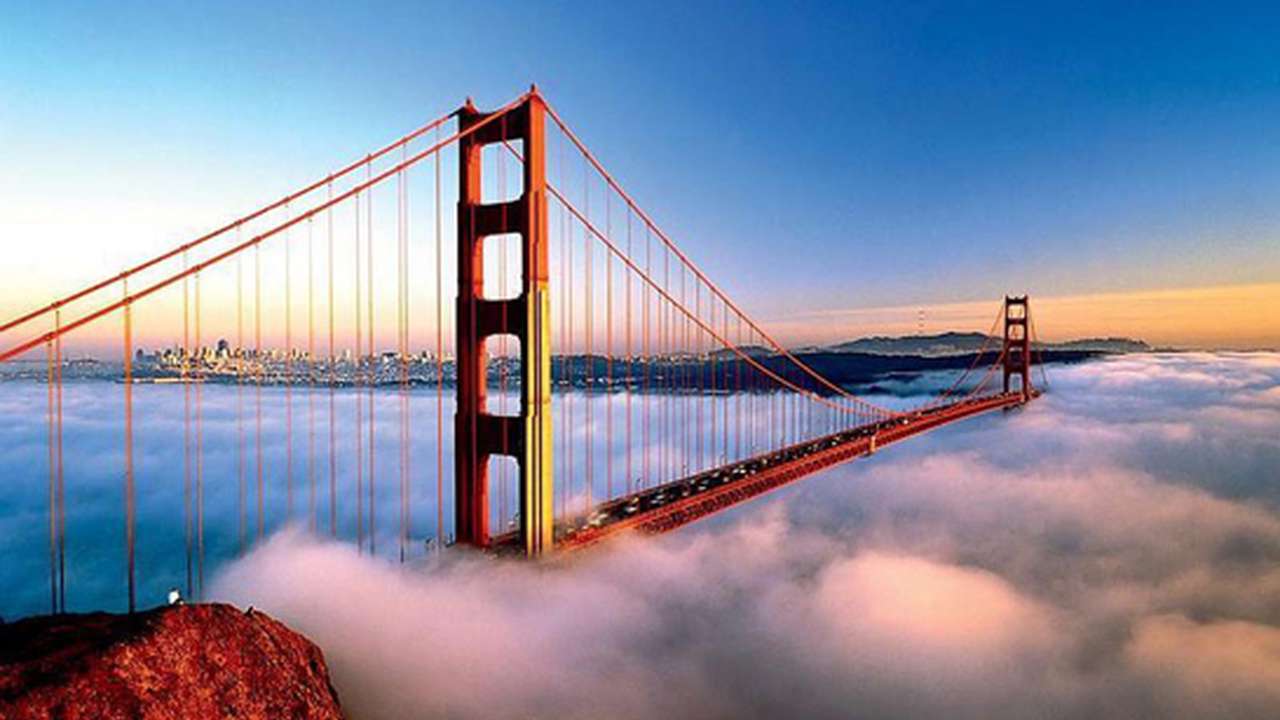 California Next Stop