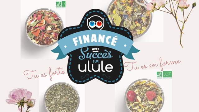 Image de couverture de la collecte Mes infusions en lien avec le cycle menstruel
