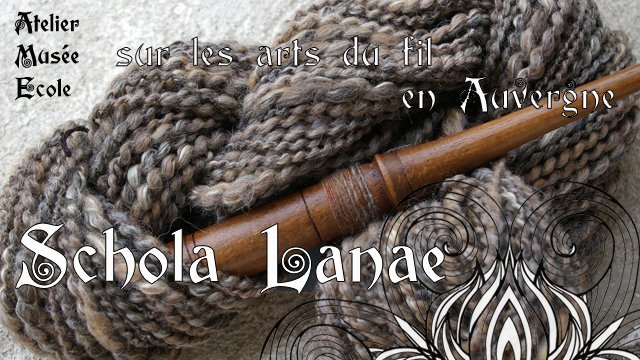 Cover image of the project Schola Lanae