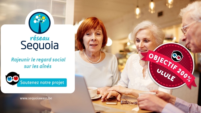 Video presentation of the project