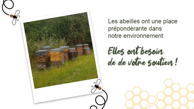 Image de couverture de la collecte Un projet pour des abeilles