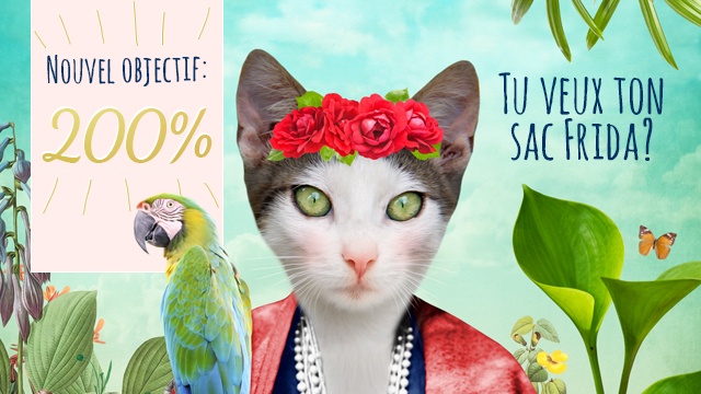 Cover image of the project LE SAC SO MEOW pour les amoureux des chats!