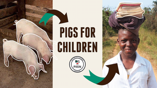 Cover image of the project Pig for Pikin