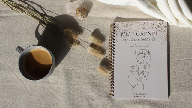 Cover image of the project Carnet de grossesse consciente