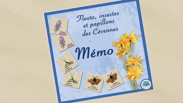 Jeu de mémo : fleurs et insectes des Cévennes