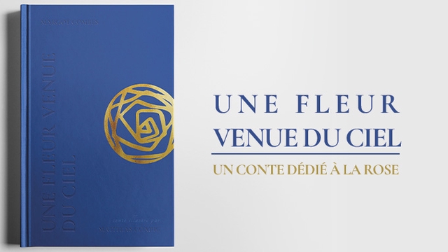 Video presentation of the project