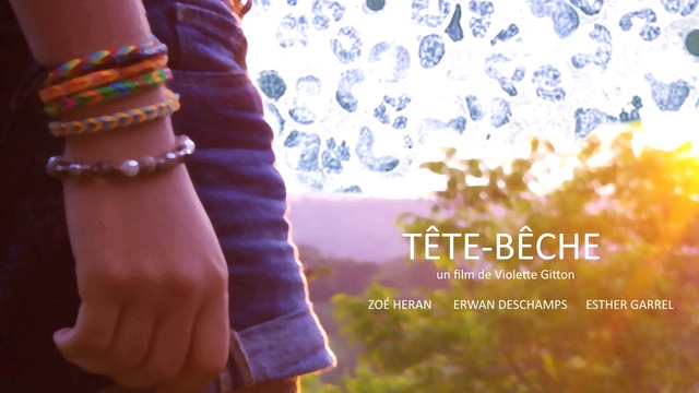 Image de couverture de la collecte Tête-Bêche