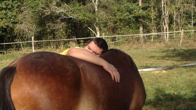 Cover image of the project Un cheval pour grandir