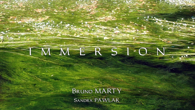IMMERSION — Une traversée sensible