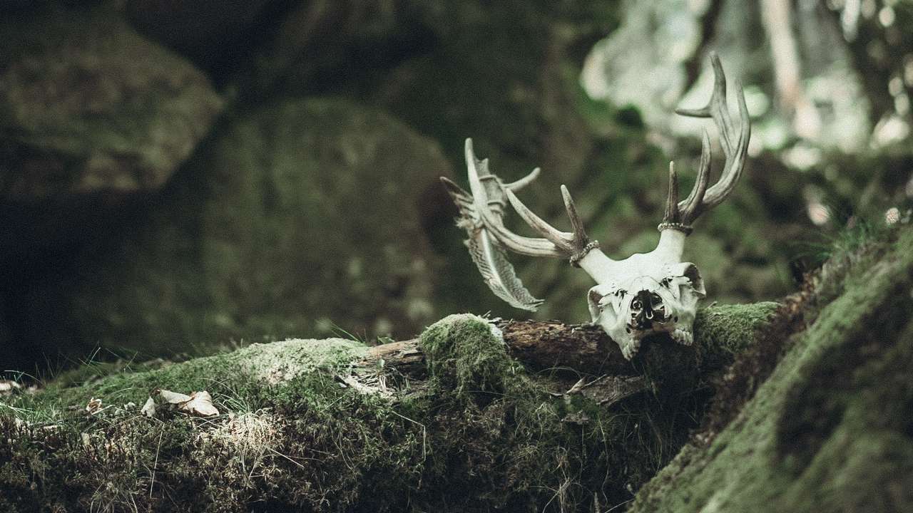 La malédiction de Laval : un récit photographico-fantastique