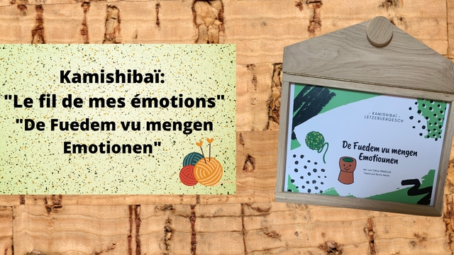 Cover image of the project Kamishibaï : "Le fil de mes émotions"