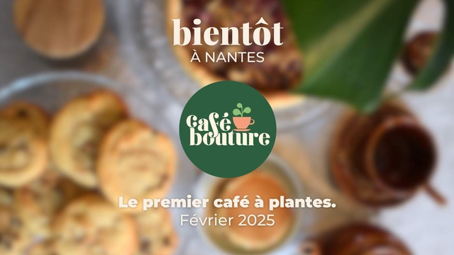 Image de couverture de la collecte 🪴☕  Le premier café à plantes à Nantes !