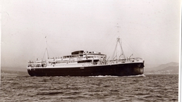 The sacrificied convoy