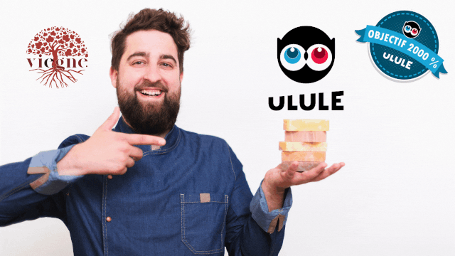 Video presentation of the project