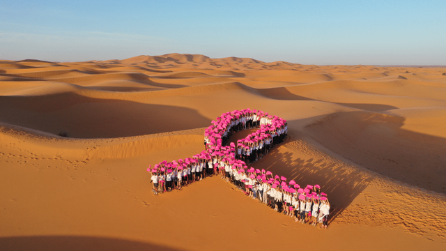 Cover image of the project Trek Rose Maroc 2024