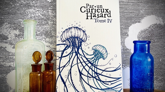 Cover image of the project Par un Curieux Hasard - Les livres !