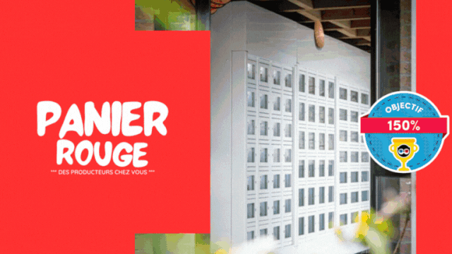 Video presentation of the project